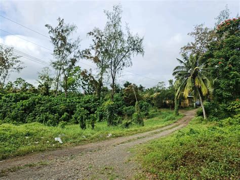 Property for Sale in Cauayan, Isabela .